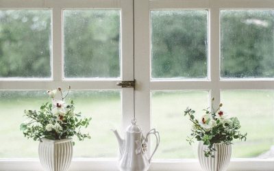 The Clear Choice: Tips for Finding Reputable Window Installation Services